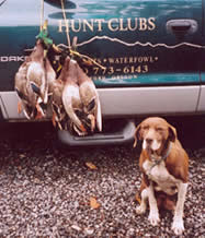 happy bird dog