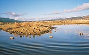 bird hunting pond